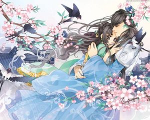 蜜芽请牢记10个地址